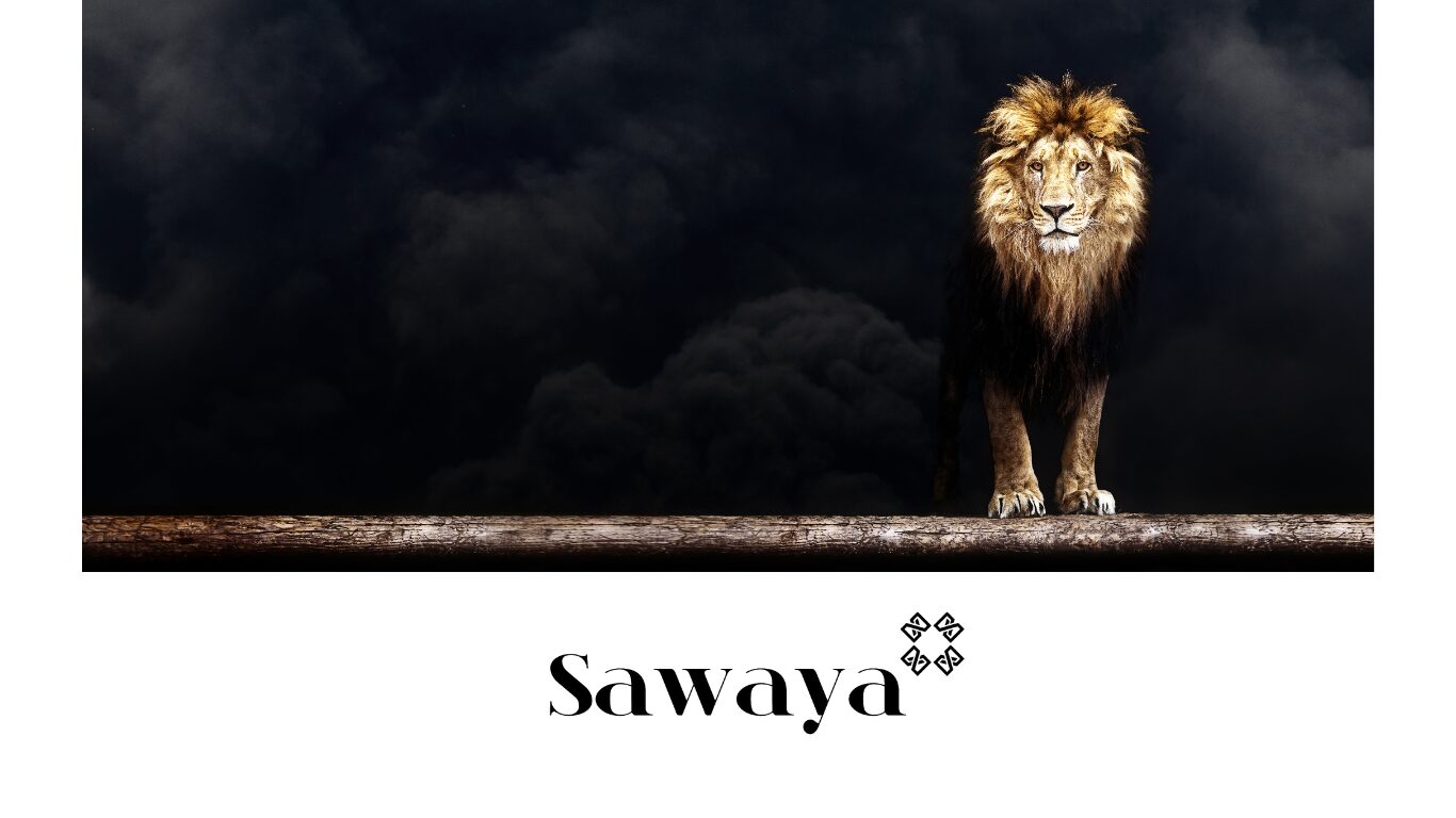 SAWAYA SITE ()